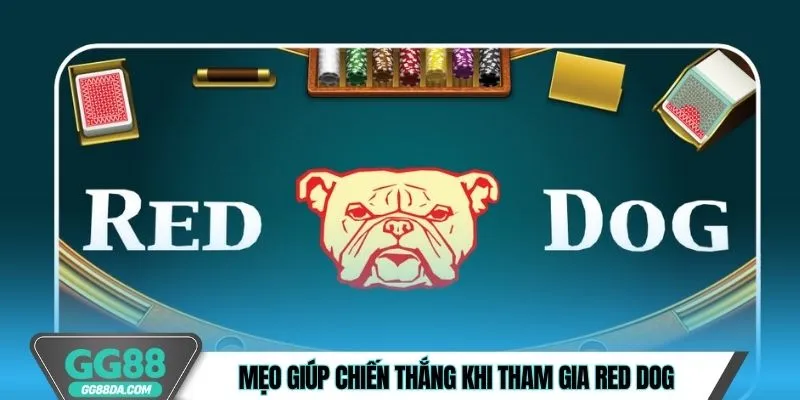 Mẹo giúp chiến thắng khi tham gia Red Dog